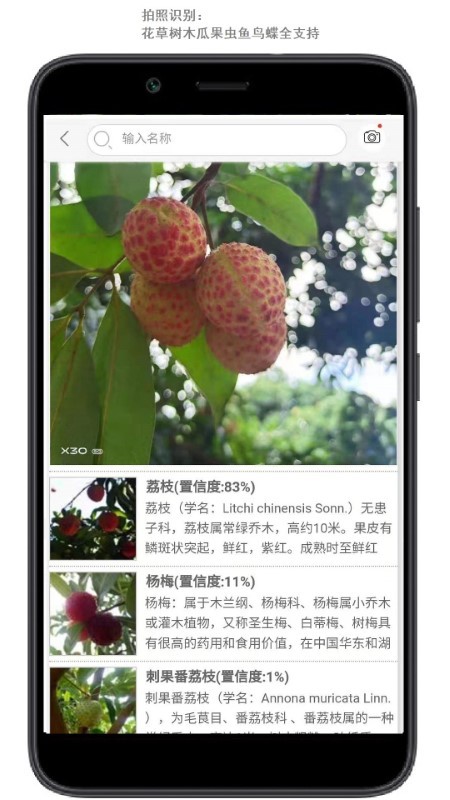 行色识花app