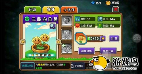 植物大战僵尸全明星攻略 全部紫卡详解[多图]图片4