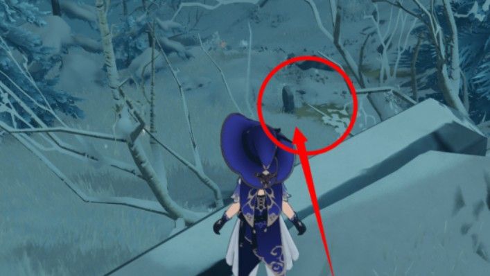 原神雪山三个匣子在哪？雪山三个匣子密室位置攻略[多图]图片6