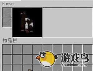 我的世界怎么骑马全部详细图文流程[多图]图片2