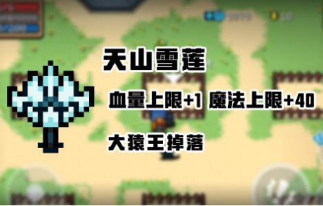 元气骑士天山雪莲有什么用？天山雪莲效果介绍[多图]图片1