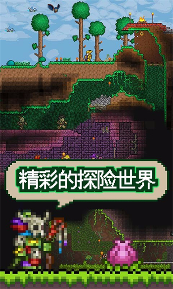 泰拉瑞亚联机版(Terraria)