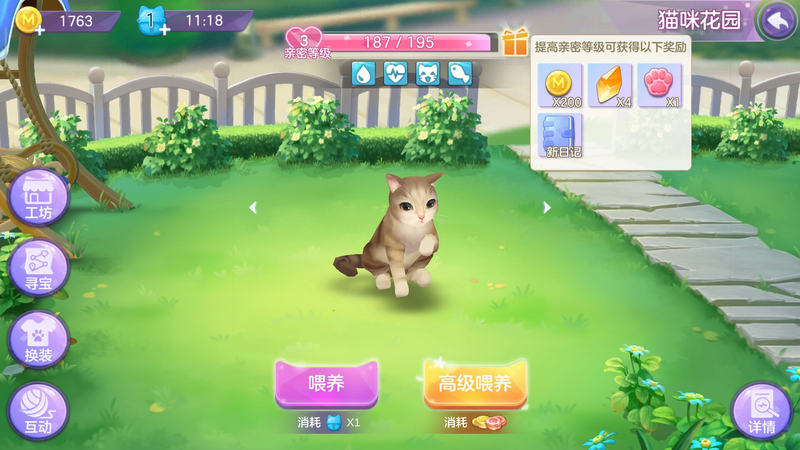 喵与筑攻略大全​：猫咪养成攻略[视频][多图]图片5