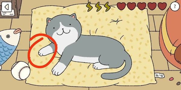 萌宅物语猫咪怎么摸？摸猫顺序攻略[视频][多图]图片1