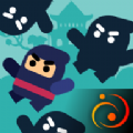 忍者影班(Ninja Shadow Class)