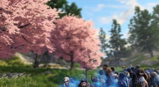 明日之后快乐101樱花树在哪里？末世樱花位置和玩法介绍[视频][多图]图片4