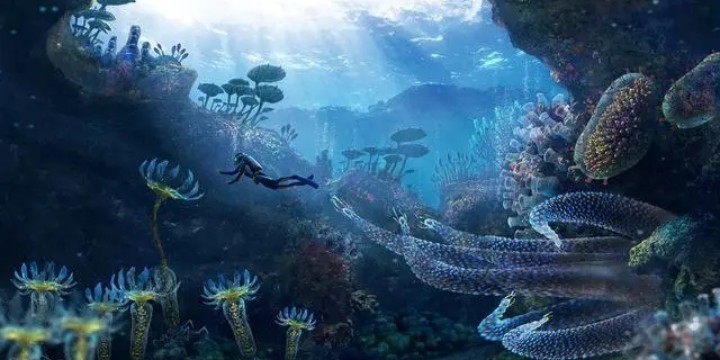 海洋题材游戏-海洋题材游戏大全