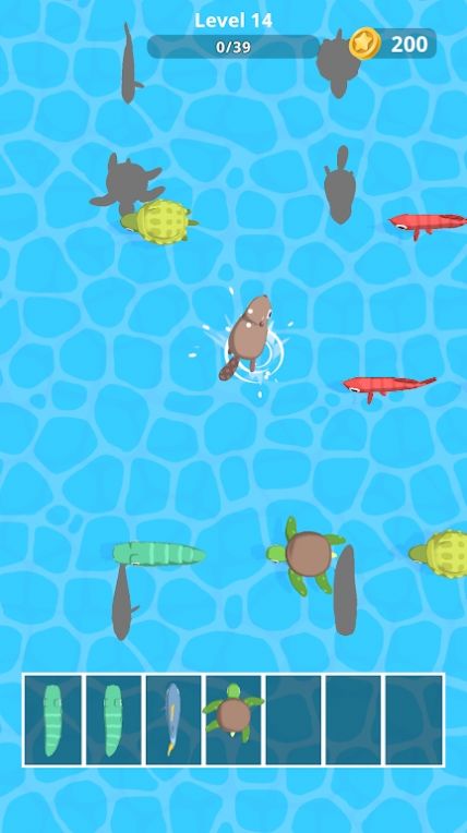 水上消除比赛(AquaticMatch)