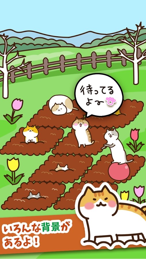 猫咪田园(Field of Cats)