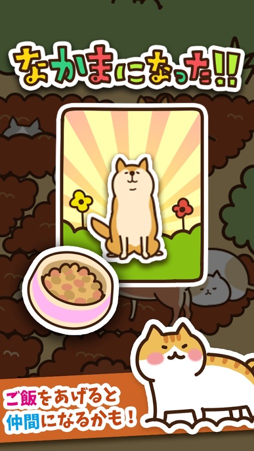 猫咪田园(Field of Cats)