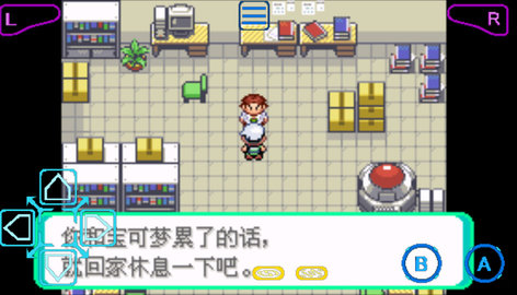 口袋妖怪日月宝石八木特别篇
