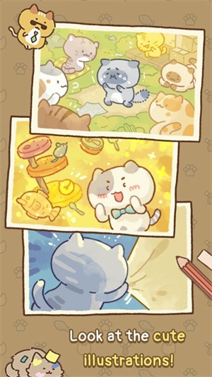 猫和游乐场(PlayCat)