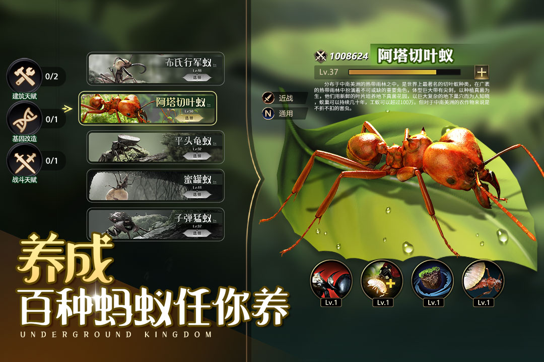 小小蚁国(免登录版)