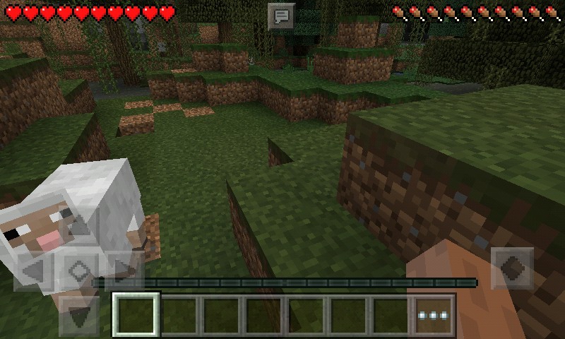 minecraft1.19(我的世界)