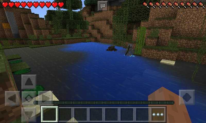 minecraft1.19(我的世界)