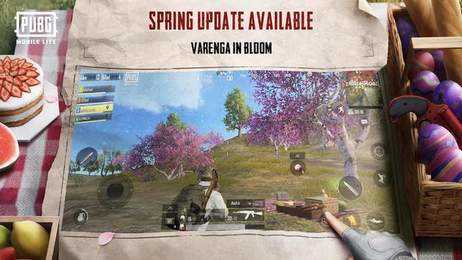 地铁逃生游戏(PUBG MOBILE)