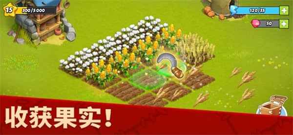 家庭岛(2022最新版)