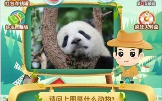 动物达人秀