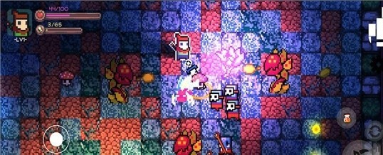 最后的地下城(The Last Dungeon)