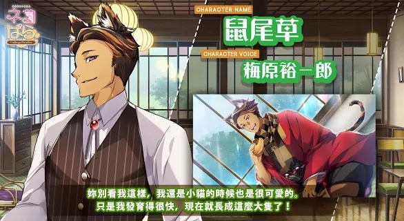 猫郎乐园(NEKOPARA - Catboys Paradise)