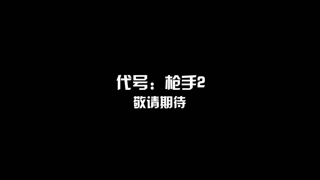 代号:枪手2