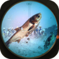 快艇狩猎鱼(Speed Boat Hunting Fish : hunt) v1.0.1