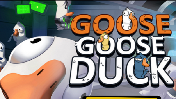 211002377nol.png
