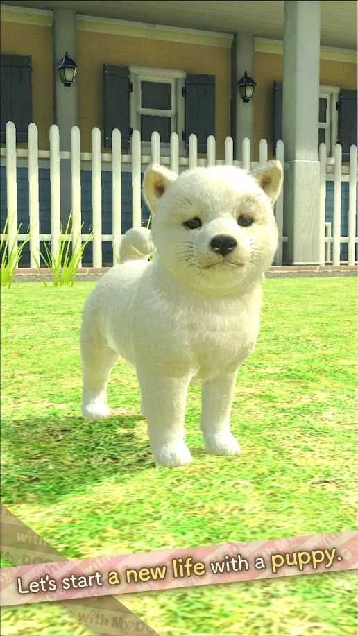 和我的狗在一起(withMyDOG)