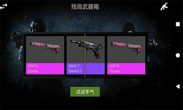 csgo真实开箱模拟器(CS:GO Case-Open Simulator)