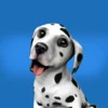 我的可爱小狗(DogWorld) v4.8.92