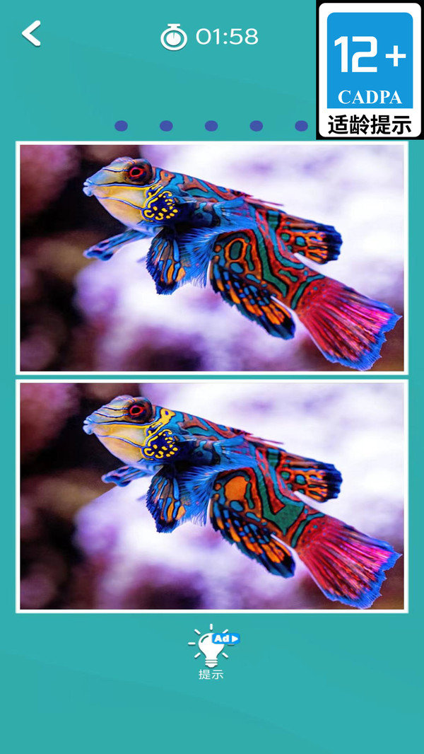 关卡探险家 关卡探险家