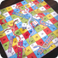 蛇形登高格子挑战(Snakes AndLadders3DOnline) v1.0