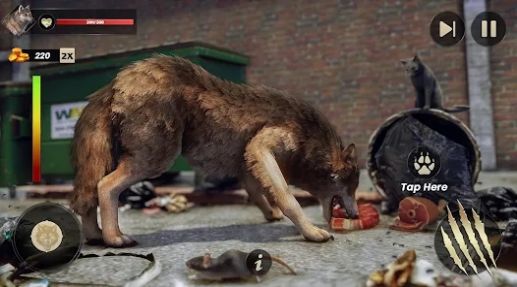 野狼生活模拟器(Wild Wolf Life Simulator Game)