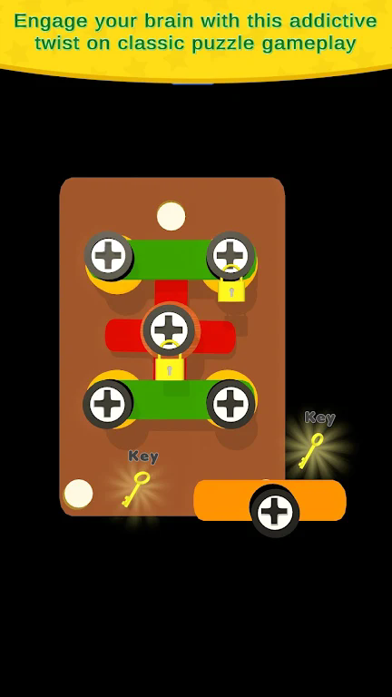 螺丝钉板益智(Screw Pin Board Puzzle Game)