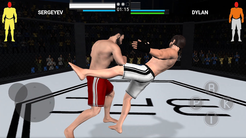 勇敢的综合格斗(Brave MMA)