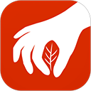 药采采App v2.6.5安卓版