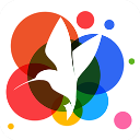 小鸟壁纸手机版 v3.0.2安卓版