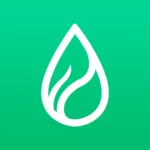 水苗社区手机安卓版