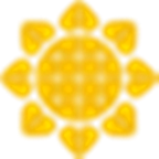 红蜻蜓App运动软件