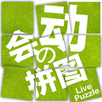 拼来拼趣最新版