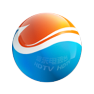 今日河东新闻app安卓版